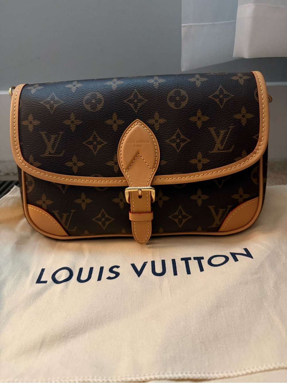 Louis Vuitton Monogram Canvas Diane